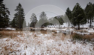 Winter snowy landscape with frozen lake at Troodos mountains, Cyprus