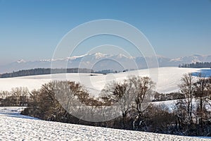Winter snowy landscape with mountain in background