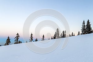 Winter snowy landscape in mountains with pine trees and white hi