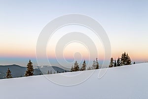 Winter snowy landscape in mountains with pine trees and white hi