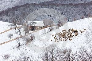 Winter snowy landscape of the transylvanian village