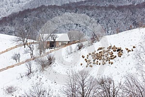 Winter snowy landscape of the transylvanian village photo