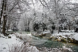 Winter Snowy Landscape, with Snowy Trees along a River, Seasonal Panorama