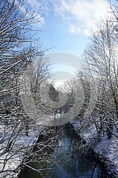 Winter snowy landscape with wonderful vegetation in January. Berlin Germany