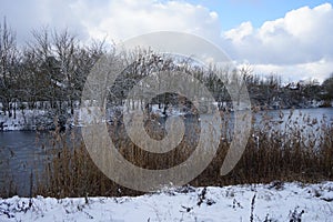 Winter snowy landscape with wonderful vegetation in January. Berlin Germany