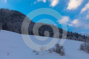 Trees covered by fresh snow in Alps. Stunning winter landscape.