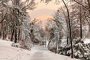 Winter snowy time in Herastrau park in Bucharest Romania