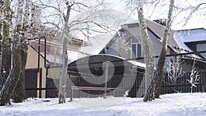 Winter snowy tree trunks and houses against white sky in countryside. Joy freshness and nature in snowy blizzard weather