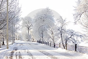 Winter snowy white landscape on a sunny day