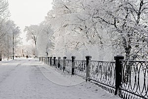 Winter snowy white landscape on a sunny day