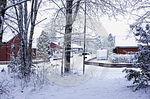 Winter snowy wood landscape