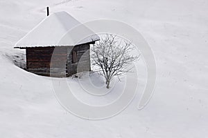 Winter solitude with tree and cottage