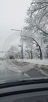 Winter in South korea so cold