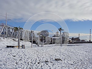 Winter in south Russia, palm trees under snow