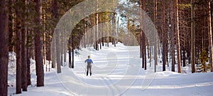 Winter sport banner, male skier is racing cross-country skiing, sunlight sunset
