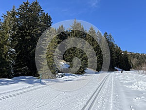 A winter sport cross-country ski trail around a frozen alpine Heidsee lake (Igl Lai lake) in the Swiss winter resorts