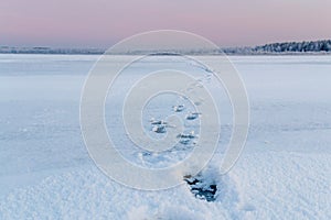 Winter sport ice fishing