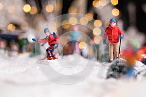 Winter sport in miniature land