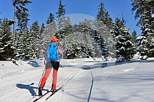 Winter sport in the mountain in Eastern Europe, Poland