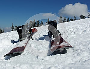 Winter Sports - Skiing