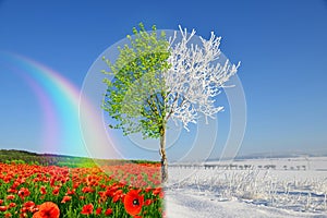 Winter and spring landscape with blue sky.