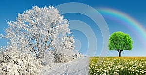 Winter and spring landscape with blue sky.Concept of change season.