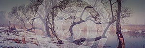 winter-spring misty landscape. panoramic view of the bare trees on the snowy coast of the river against the background of fog