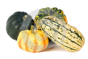 Zucca 