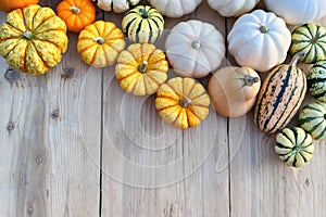 Winter squashes and pumpkins border