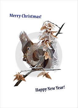 Winter squirrel on a branch