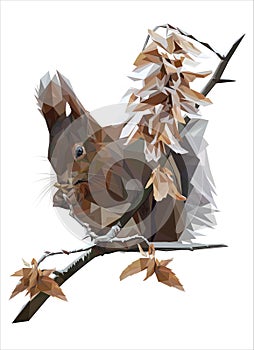 Winter squirrel on a branch low poly