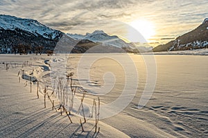 Winter at St. Moritz
