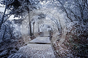 Winter stairway view in Huangshan National park.