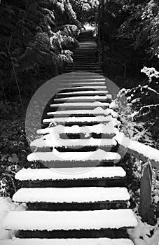 Winter steps