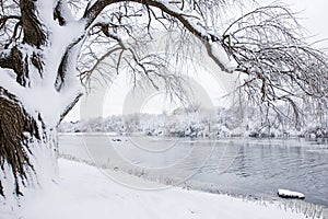 Winter storm aftermath