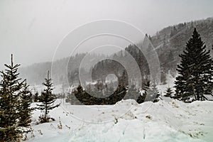 Winter storm batters a field. Rockyview County, Alberta, Canada