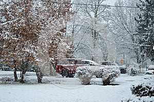 Winter storm over residential neighborhood yard