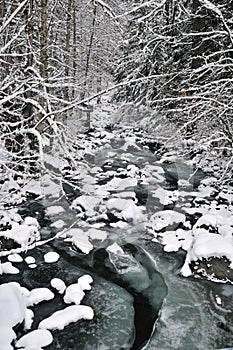 Winter stream