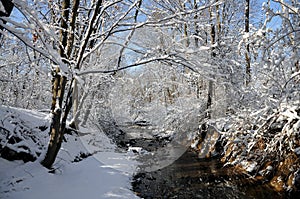 Winter Stream