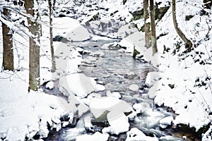 Winter Stream