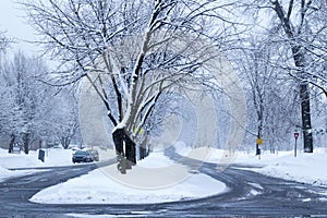 Winter in the street