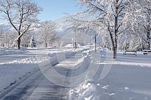 Winter street scene
