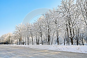 Winter street in snow. Beautiful winter trees branches with a lot of snow. Snow covered trees along the road. Uncleaned city