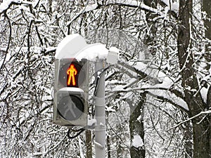 Winter, street, traffic light for pedestrians, red, stop