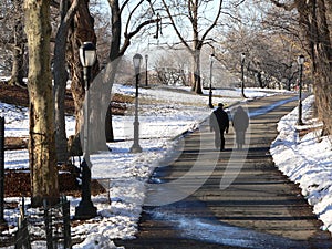 A winter stroll