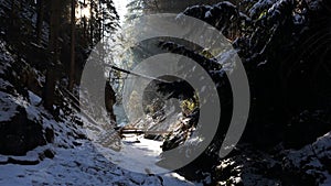 Winter in Sucha Bela gorge , Slovensky raj National park , Slovakia