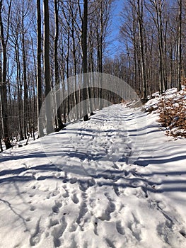 Winter sun in Austria\'s mountains