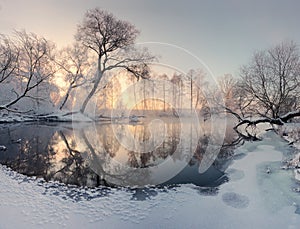 Winter sun illuminate frosty trees in the morning