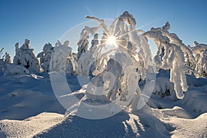 Winter sun on Krizava hill in Mala Fatra near Martinske Hole