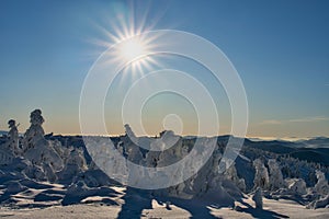 Winter sun on Krizava hill in Mala Fatra near Martinske Hole